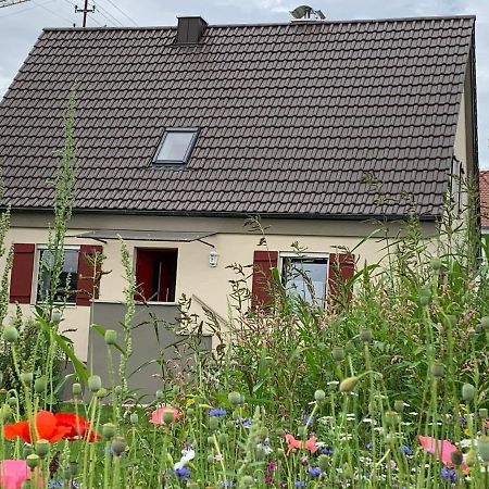 Ferienhaus Bei Lauingen, Mit Sauna Und Gartenlounge Veitriedhausen المظهر الخارجي الصورة