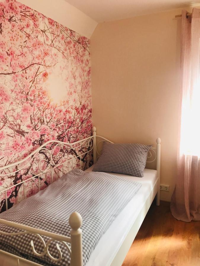 Ferienhaus Bei Lauingen, Mit Sauna Und Gartenlounge Veitriedhausen المظهر الخارجي الصورة