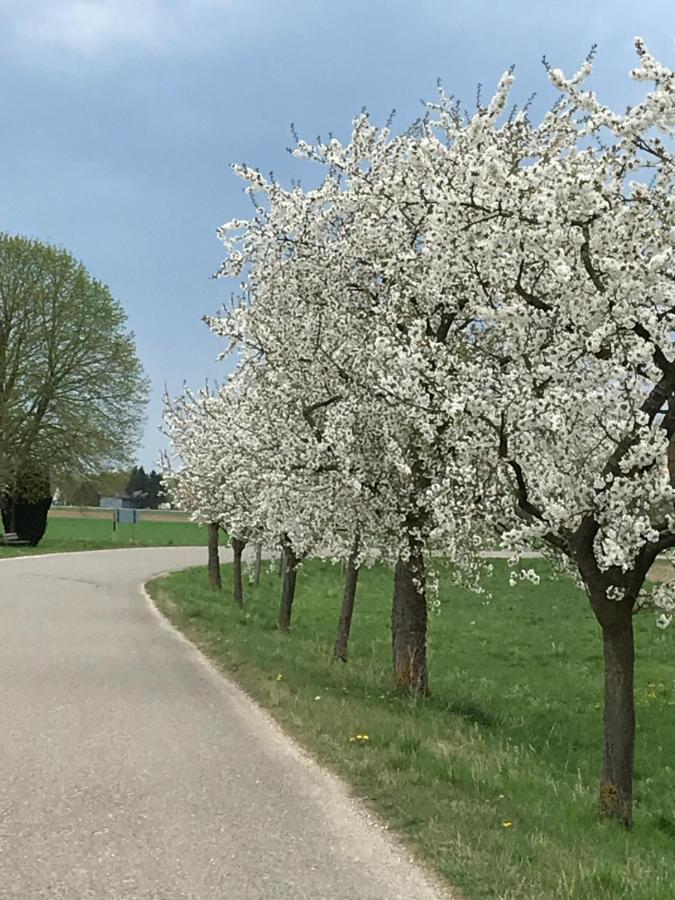 Ferienhaus Bei Lauingen, Mit Sauna Und Gartenlounge Veitriedhausen المظهر الخارجي الصورة