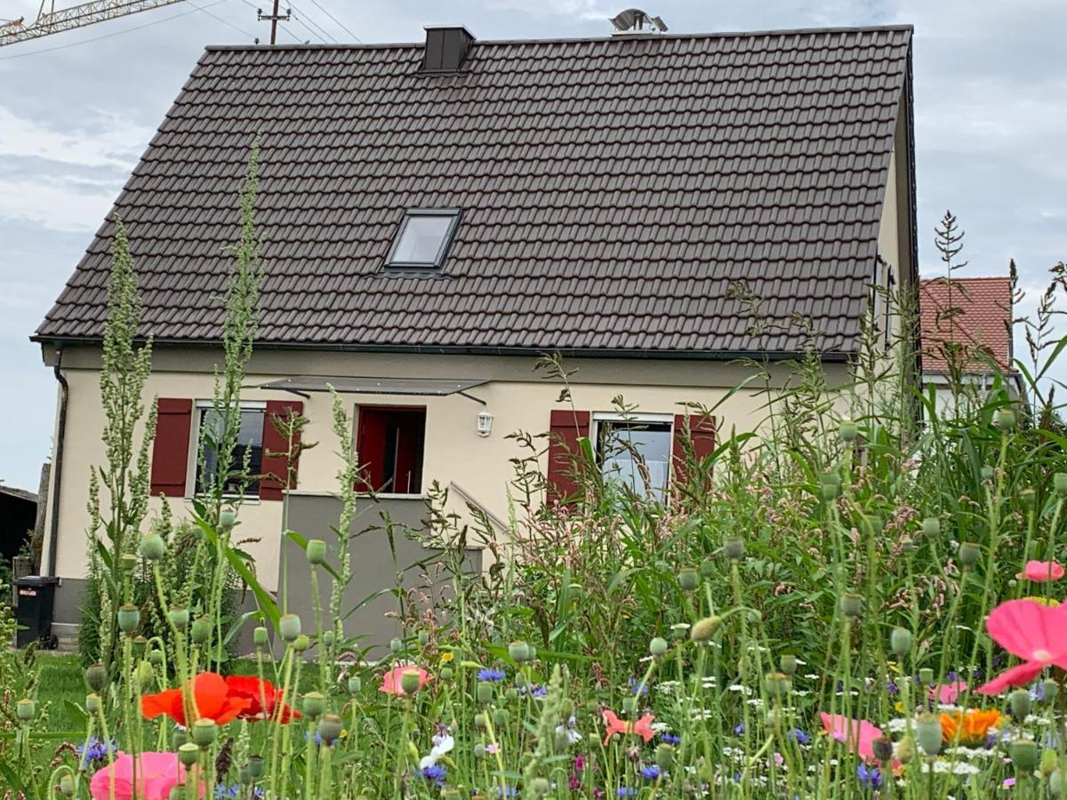 Ferienhaus Bei Lauingen, Mit Sauna Und Gartenlounge Veitriedhausen المظهر الخارجي الصورة